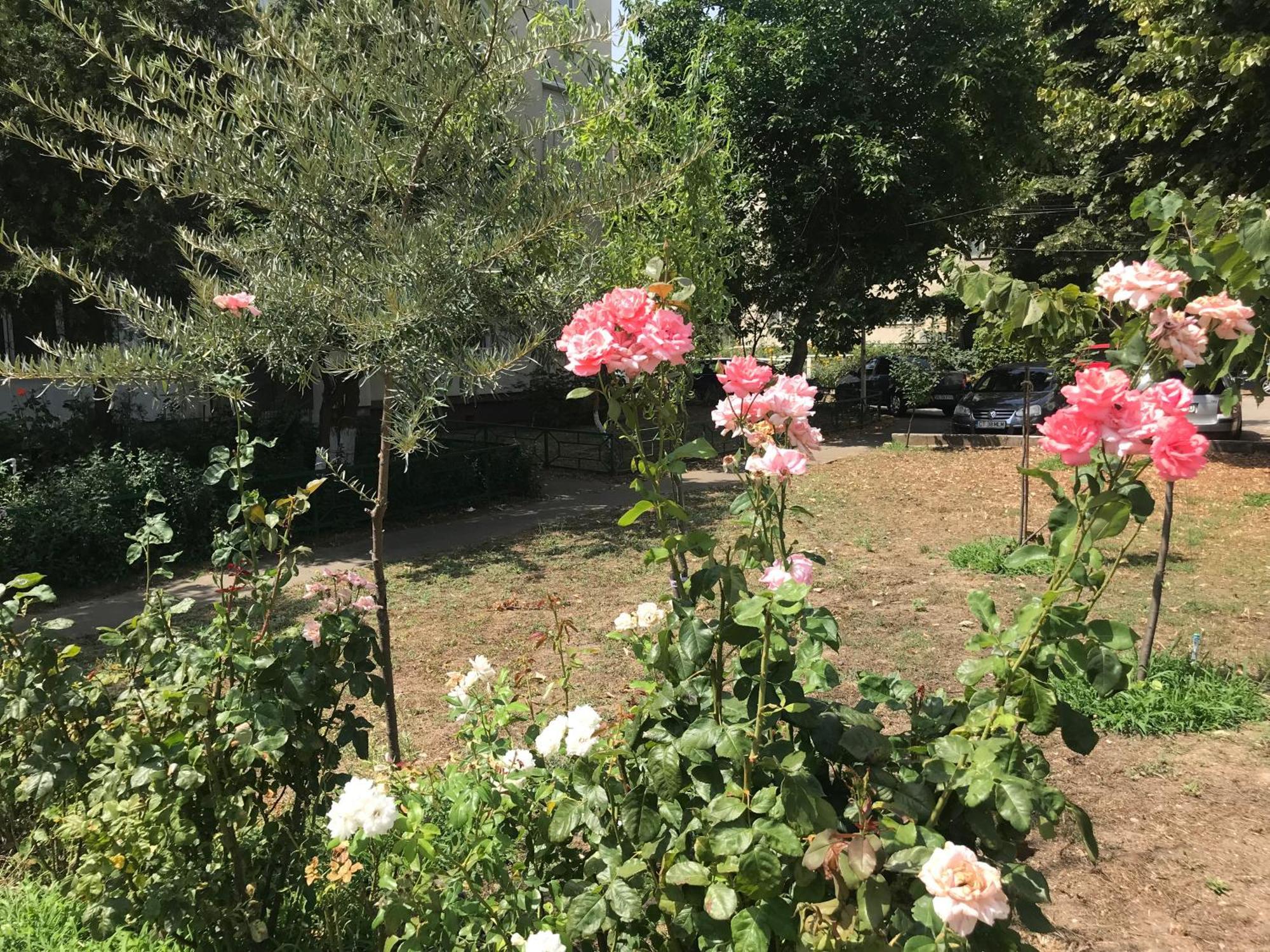 Apartament Langa Plaja Diana Mangalia Exteriér fotografie